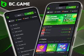 Exploring BC.Game Casino A New Frontier in Online Gambling in Cameroon