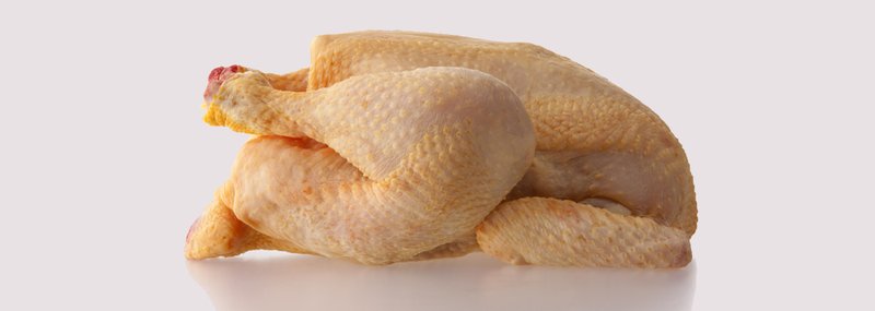 Descubre las Intrigas de la Aventura de Paseo de Pollo en España