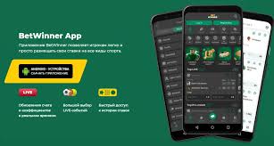 Experience the Thrill at BetWinner Casino & Sportsbook