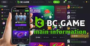 Exploring the BC.Game App A New Era of Gaming in Africa