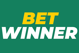 In-Depth BetWinner Player Reviews Insights and Experiences