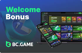 Understanding the BC.Game Login Process Understanding the BC.Game Login Process