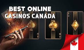 Discover the Best Internet Casino for Your Online Gaming Experience