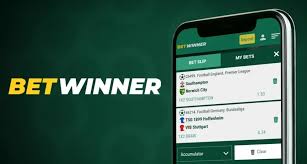 How to Log In to Your BetWinner Account A Step-by-Step Guide -857440839
