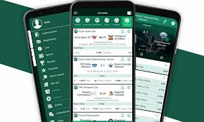 In-Depth BetWinner Review Pros, Cons, and Features