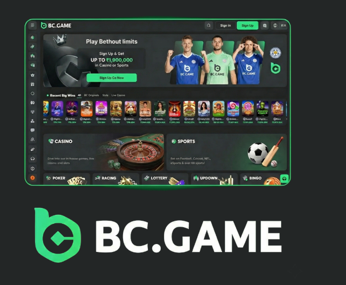 Experience Excitement with the BC.Game Mobile App